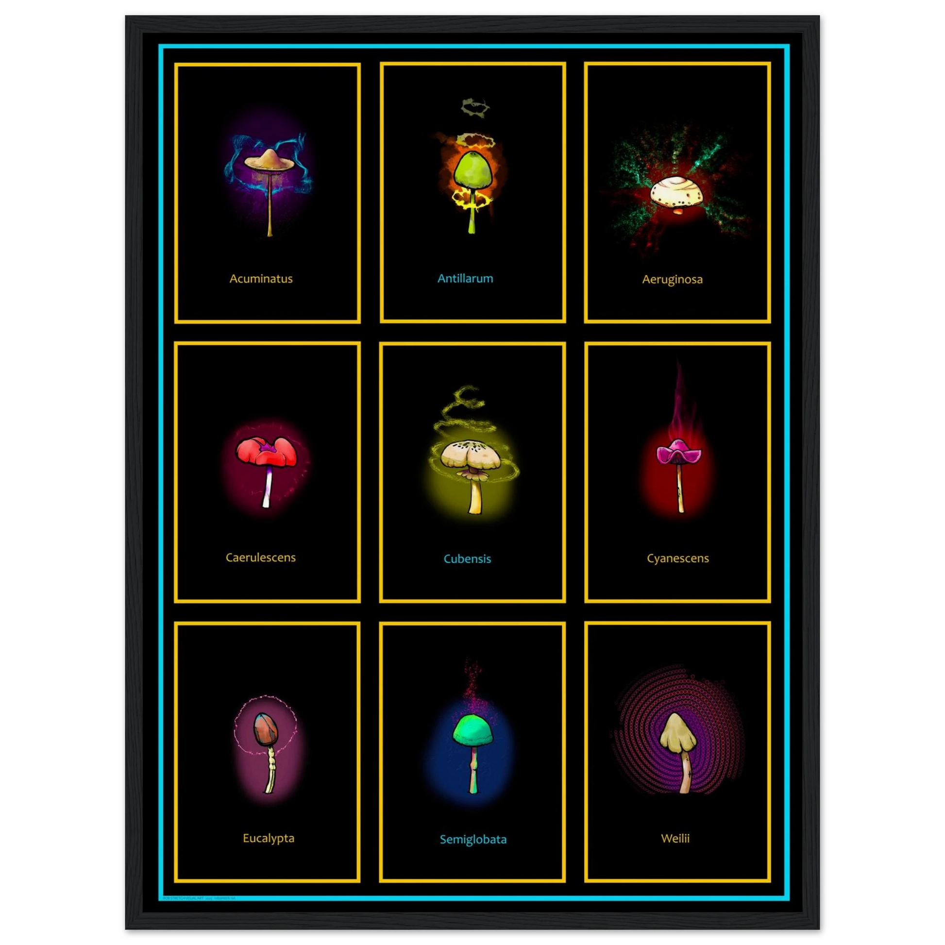 84ad8d44-5fde-43bf-b26d-926efc335512